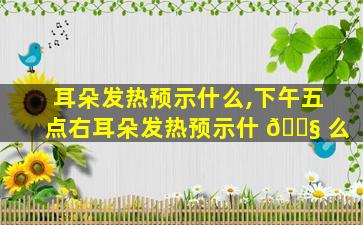 耳朵发热预示什么,下午五点右耳朵发热预示什 🐧 么